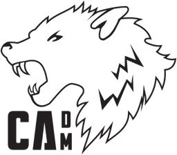Cammi logo